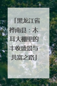 黑龙江省桦南县：木耳大棚里的丰收盛景与共富之路