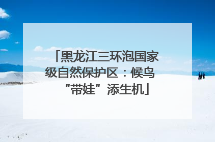 黑龙江三环泡国家级自然保护区：候鸟“带娃”添生机
