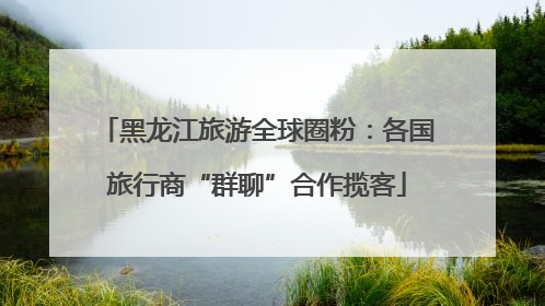黑龙江旅游全球圈粉：各国旅行商“群聊”合作揽客