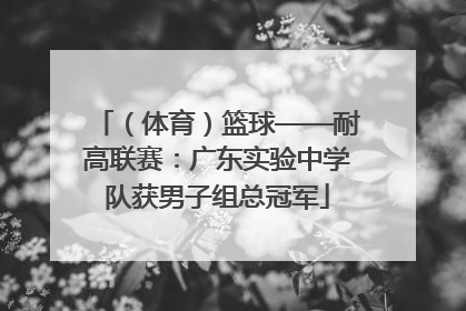 （体育）篮球——耐高联赛：广东实验中学队获男子组总冠军