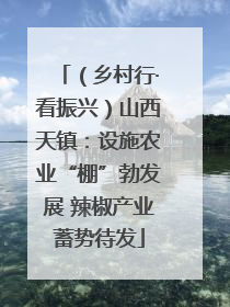 （乡村行·看振兴）山西天镇：设施农业“棚”勃发展 辣椒产业蓄势待发