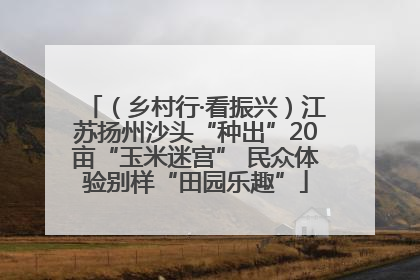 （乡村行·看振兴）江苏扬州沙头“种出”20亩“玉米迷宫” 民众体验别样“田园乐趣”