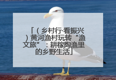 （乡村行·看振兴）黄河渔村玩转“渔文旅”：耕稼陶渔里的乡野生活