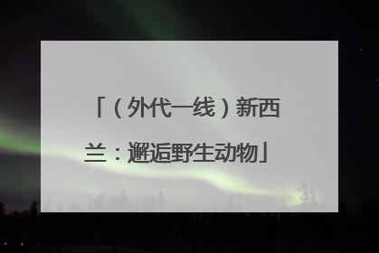 （外代一线）新西兰：邂逅野生动物