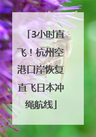 3小时直飞！杭州空港口岸恢复直飞日本冲绳航线