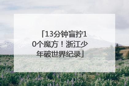 13分钟盲拧10个魔方！浙江少年破世界纪录