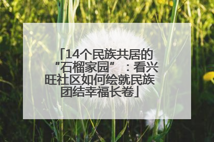 14个民族共居的“石榴家园”：看兴旺社区如何绘就民族团结幸福长卷