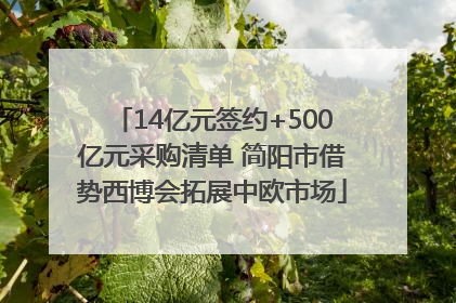14亿元签约+500亿元采购清单 简阳市借势西博会拓展中欧市场