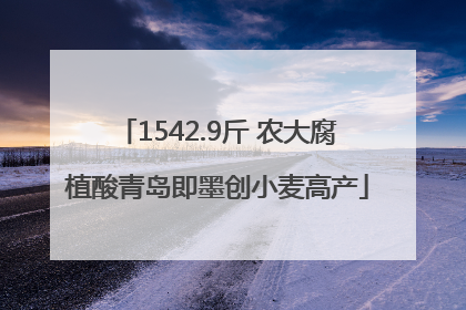 1542.9斤 农大腐植酸青岛即墨创小麦高产