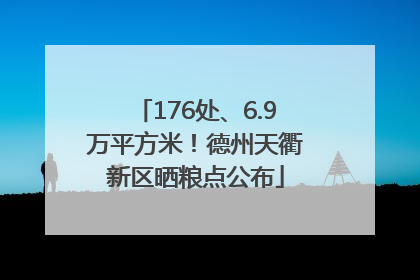 176处、6.9万平方米！德州天衢新区晒粮点公布