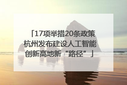 17项举措20条政策 杭州发布建设人工智能创新高地新“路径”