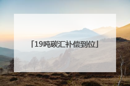 19吨碳汇补偿到位