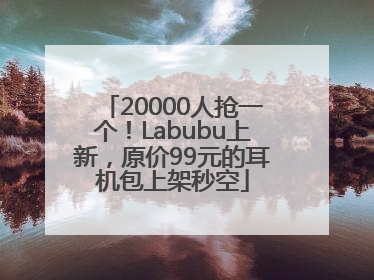 20000人抢一个！Labubu上新，原价99元的耳机包上架秒空
