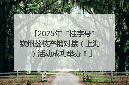 2025年“桂字号”钦州荔枝产销对接（上海）活动成功举办！