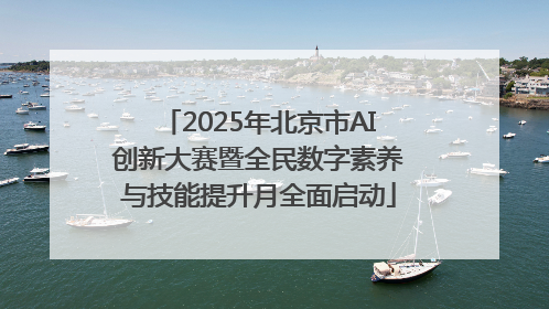 2025年北京市AI创新大赛暨全民数字素养与技能提升月全面启动