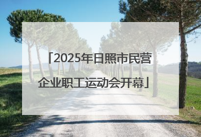 2025年日照市民营企业职工运动会开幕