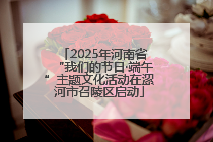 2025年河南省“我们的节日·端午”主题文化活动在漯河市召陵区启动