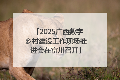 2025广西数字乡村建设工作现场推进会在富川召开