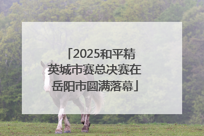 2025和平精英城市赛总决赛在岳阳市圆满落幕