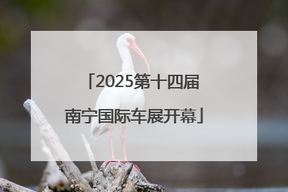 2025第十四届南宁国际车展开幕