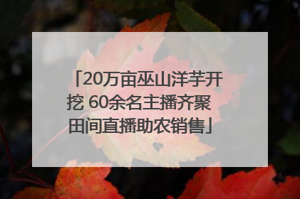 20万亩巫山洋芋开挖 60余名主播齐聚田间直播助农销售