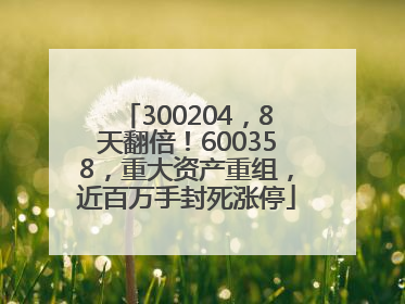 300204，8天翻倍！600358，重大资产重组，近百万手封死涨停