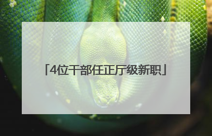 4位干部任正厅级新职