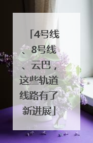 4号线、8号线、云巴，这些轨道线路有了新进展