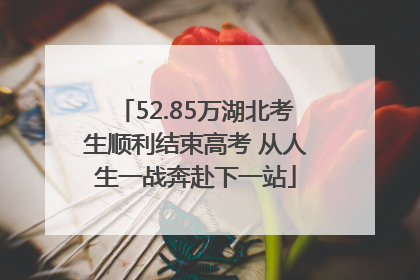 52.85万湖北考生顺利结束高考 从人生一战奔赴下一站