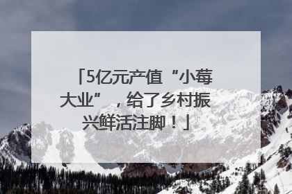 5亿元产值“小莓大业”，给了乡村振兴鲜活注脚！