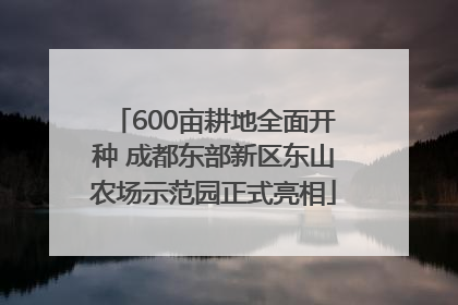 600亩耕地全面开种 成都东部新区东山农场示范园正式亮相