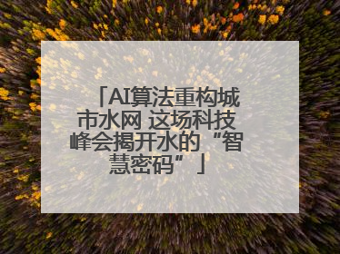 AI算法重构城市水网 这场科技峰会揭开水的“智慧密码”