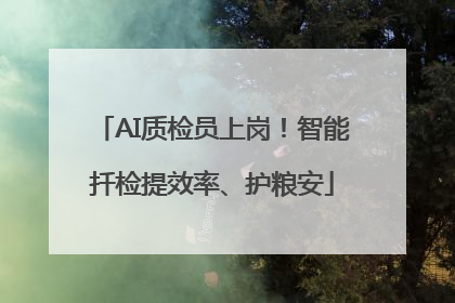 AI质检员上岗！智能扦检提效率、护粮安