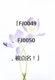 FJ0049、FJ0050，被点名！