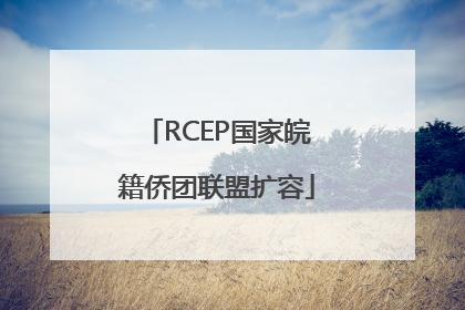 RCEP国家皖籍侨团联盟扩容