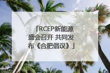 RCEP新能源盛会召开 共同发布《合肥倡议》
